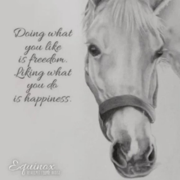 🐴 Horse drawing quote message Art Poster Print A4 Signed by artist - Picture 1 of 2